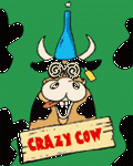 pic for Crazy Cow